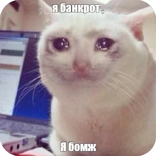 Телеграм стикер 🫥 🐝 Tall Bee :: @fStikBot