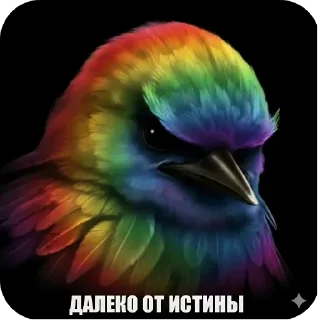 Video sticker 🐦 Угашенные птицы/автор - t.me/elitezxx
