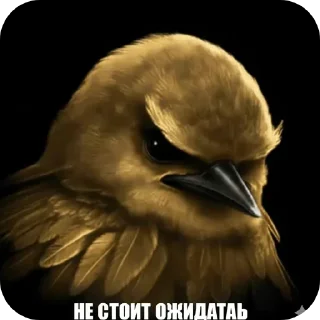 Telegram stiker 🐦 Угашенные птицы/автор - t.me/elitezxx
