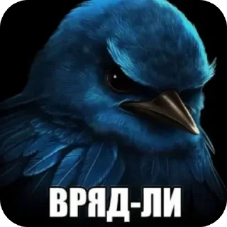 Sticker 👍 Угашенные птицы/автор - t.me/elitezxx