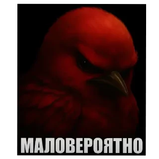 Telegram stiker 🐦 Угашенные птицы/автор - t.me/elitezxx