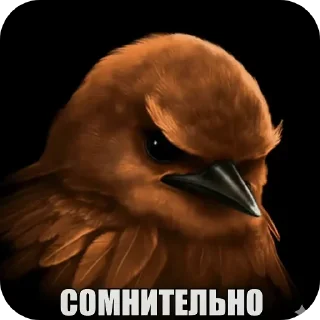 Telegram stiker 🐦 Угашенные птицы/автор - t.me/elitezxx