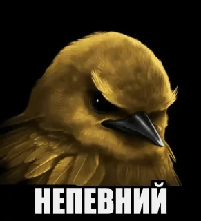 Телеграм стикер 🌟 пісі :: @fStikBot