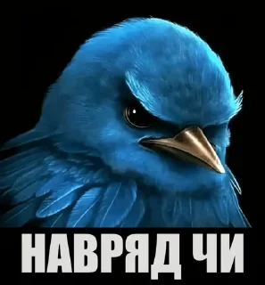Телеграм стикер 🌟 пісі :: @fStikBot