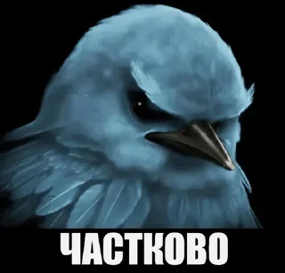 Телеграм стикер 🌟 пісі :: @fStikBot