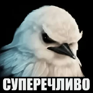 Телеграм стикер 🌟 пісі :: @fStikBot