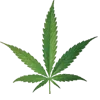 Video sticker 🌱 DRVGS