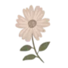 Sticker 💐 AnaQtella