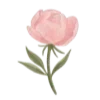 Sticker 💐 AnaQtella