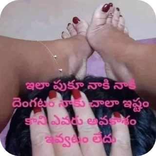 Video sticker ✋ VSnaik