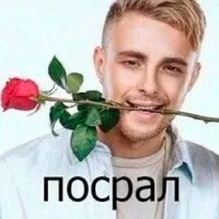 Video sticker 🌹 Не заходи сюда👉🏻 @stikiin