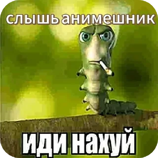 Video sticker 🖼 Хуйлан полный 3000