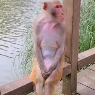 Video sticker 💗 Больше стиков тут: @stikery4