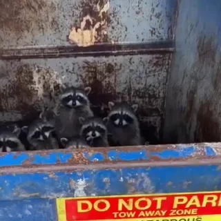 Video sticker 🥰 Больше стиков тут: @stikery4