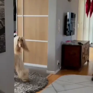 Video sticker 🤍 Больше стиков тут: @stikery4