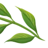 Sticker 🌟 Plants :: @fStikBot