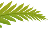 Video sticker 🌟 Plants :: @fStikBot