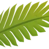 Video sticker 🌟 Plants :: @fStikBot