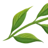 Sticker 🌟 Plants :: @fStikBot