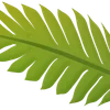 Video sticker 🌟 Plants :: @fStikBot