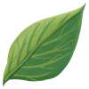 Video sticker 🌟 Plants :: @fStikBot