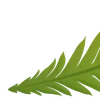 Video sticker 🌟 Plants :: @fStikBot