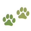 Sticker 🌟 Plants :: @fStikBot