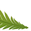 Video sticker 🌟 Plants :: @fStikBot