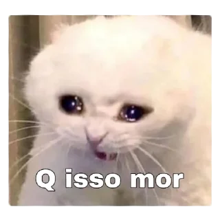 Telegram sticker 🥺 @erro_403 o + picudo do Br