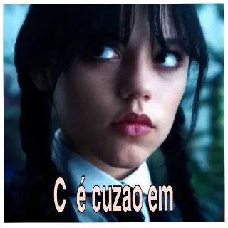 Video sticker 😒 @erro_403 o + picudo do Br