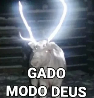 Video sticker 🤤 @erro_403 o + picudo do Br