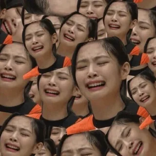 Video sticker 😭 FUNNY PINKS @Blackpinkblinkclub — @stckrRobot