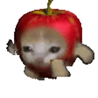 Telegram sticker 🐈 HAPPI HAPPI || @CHATROOM_XD