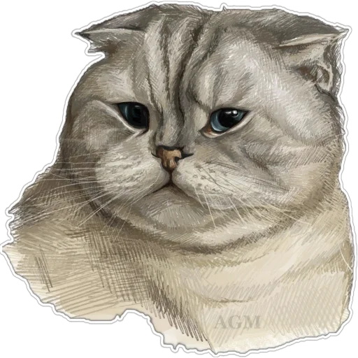 Telegram sticker 🐈‍⬛ Animals @agreatstickers
@agreatmarket