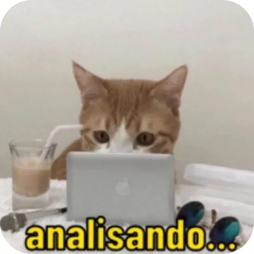 Telegram sticker 🤨 Peguei 2.0 by wenells