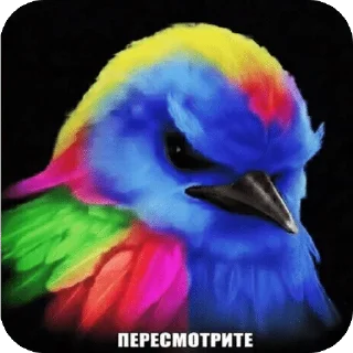 Telegram sticker 🌟 вряд-ли😾 :: @fStikBot