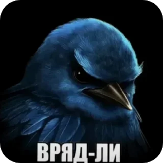 Telegram sticker 🐦 вряд-ли😾 :: @fStikBot