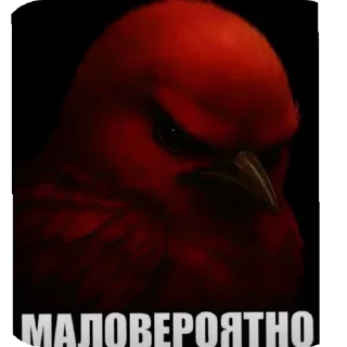 Video sticker 🐦 вряд-ли😾 :: @fStikBot