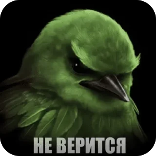 Telegram sticker 🌟 вряд-ли😾 :: @fStikBot