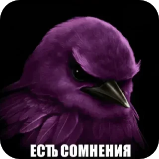 Telegram sticker 🐦 вряд-ли😾 :: @fStikBot