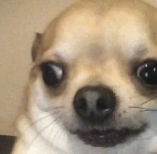 Телеграм стикер 👀 مود.