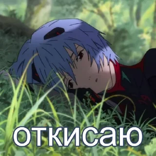 Телеграм стикер 💤 реечка на каждый день 🩵 @ayanami_rey_everday