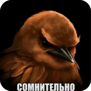 Telegram sticker 🐦 Больше стиков тут: @stikery4