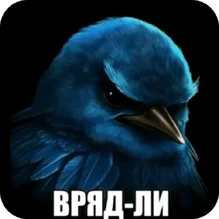 Telegram sticker 🖼 Больше стиков тут: @stikery4