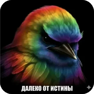 Video sticker 🐦 Больше стиков тут: @stikery4