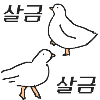Telegram sticker 👍 @KakaoEmoji 백작둘기의 정중한 하루