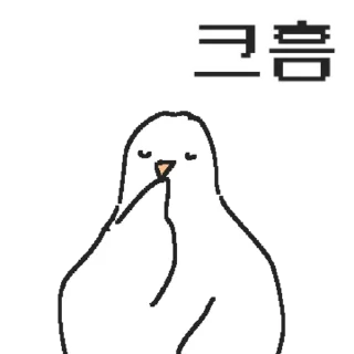 Video sticker 👍 @KakaoEmoji 백작둘기의 정중한 하루