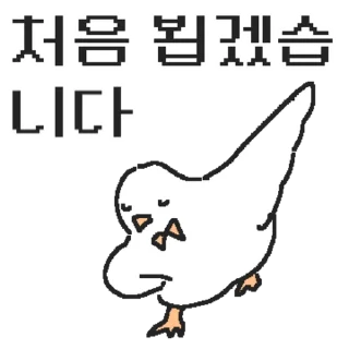 Sticker 👍 @KakaoEmoji 백작둘기의 정중한 하루