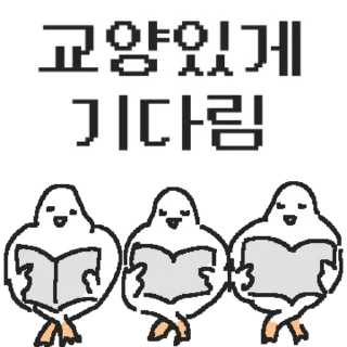 Video sticker 👍 @KakaoEmoji 백작둘기의 정중한 하루
