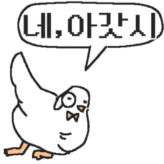 Video sticker 👍 @KakaoEmoji 백작둘기의 정중한 하루
